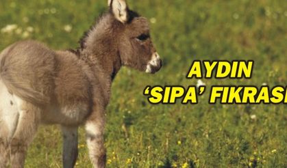 AYDIN 'SIPA' FIKRASI!