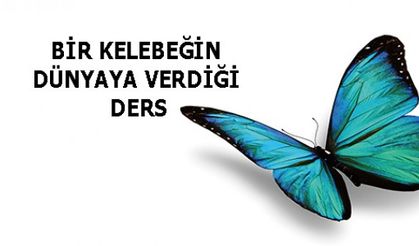 BİR KELEBEĞİN DÜNYAYA VERDİĞİ DERS