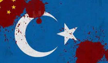 Birleşmiş Milletler İnsan Hakları Konseyi, Türk avukatların Doğu Türkistan başvurusunu resmi incelemeye alacak