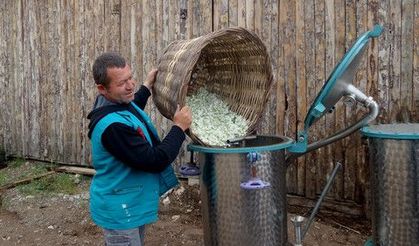 Burdur'da şakayık dikimi yapıldı