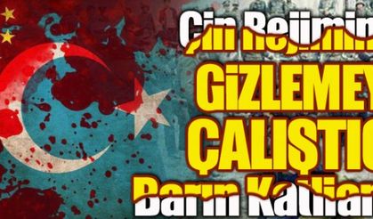 Çin Rejiminin gizlemeye çalıştığı Barın Katliamı