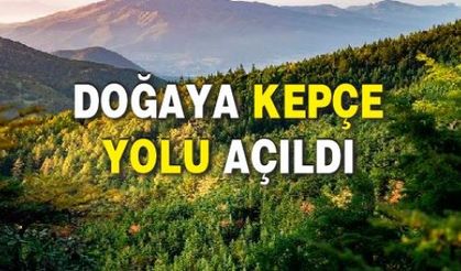 Doğaya kepçe yolu açıldı