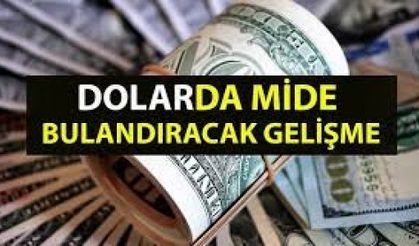Dolarda mide bulandıracak gelişmeler olacak. Dolar ve euro analizi yapan ünlü ekonomist Evren Devrim Zelyut, dolar için 18 liranın üstünü işaret etti