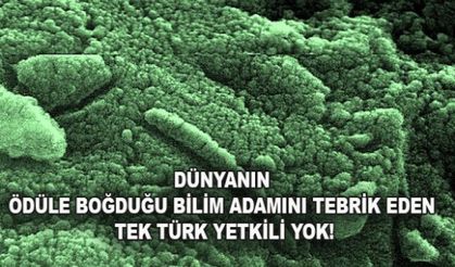 DÜNYANIN ÖDÜLE BOĞDUĞU BİLİM ADAMINI TEBRİK EDEN TEK TÜRK YETKİLİ YOK!