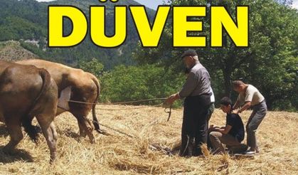  DÜVEN