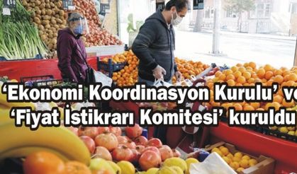 'Ekonomi Koordinasyon Kurulu' ve 'Fiyat İstikrarı Komitesi' kuruldu