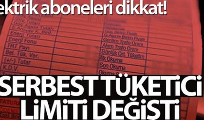 Elektrik faturası 75,11 lira veya üzerinde olan aboneler serbest tüketici olabilecek