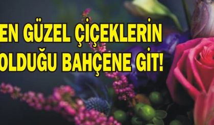 EN GÜZEL ÇİÇEKLERİN OLDUĞU BAHÇENE GİT!