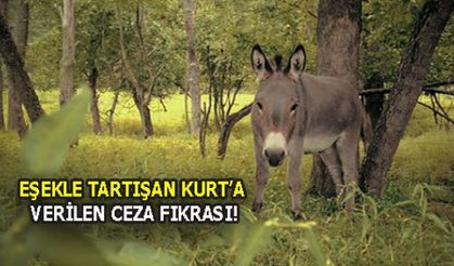 EŞEKLE TARTIŞAN KURT'A VERİLEN CEZA FIKRASI!