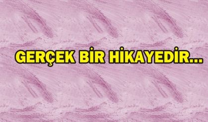 GERÇEK BİR HİKAYEDİR... 