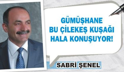 GÜMÜŞHANE BU ÇİLEKEŞ KUŞAĞI HALA KONUŞUYOR! 
