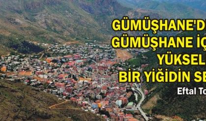 GÜMÜŞHANE'DEN GÜMÜŞHANE İÇİN YÜKSELEN BİR YİĞİDİN SESİ