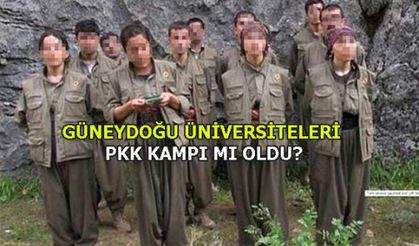GÜNEYDOĞU ÜNİVERSİTELERİ PKK KAMPI MI OLDU?