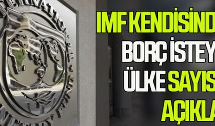 IMF borç isteyen ülke sayısını açıkladı