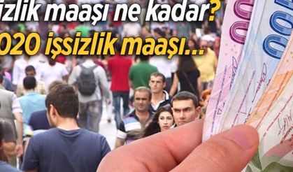 İşsizlik maaşı ne kadar? 2020 işsizlik maaşı…