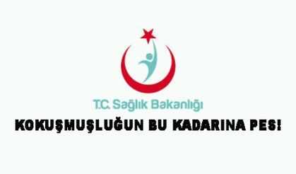 KOKUŞMUŞLUĞUN BU KADARINA PES!