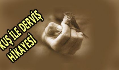 KUŞ İLE DERVİŞ VE ALLAH İLE ALDATANLAR!