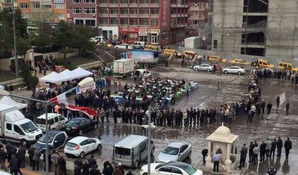 'Kutlu Doğum' programı yoğun ilgi gördü