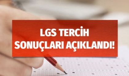 LGS yerleştirme sonuçları açıklandı | LGS sonuçları MEB'in sitesinde