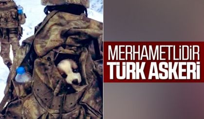 Mehmetçik, karlı arazide bulduğu yavru köpeği yanına aldı