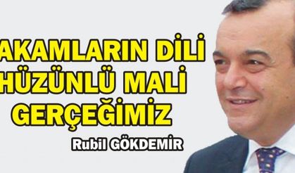 RAKAMLARIN DİLİ HÜZÜNLÜ MALİ GERÇEĞİMİZ 
