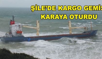 ŞİLE'DE KARGO GEMİSİ KARAYA OTURDU