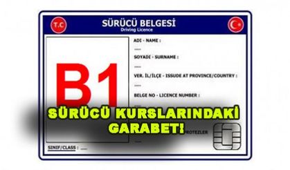 SÜRÜCÜ BELGESİ VEREN ŞEBEKE ÇÖKERTİLDİ!