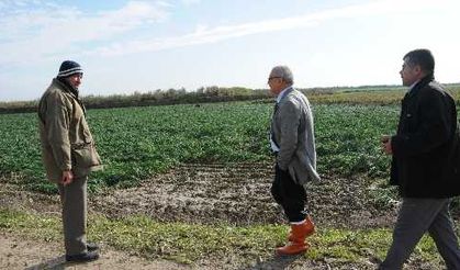 Tarsus Belediye Başkanı Kocamaz, yağmurdan zarar gören köyleri ziyaret etti