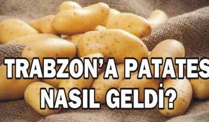 TRABZON’A PATATES NASIL GELDİ?