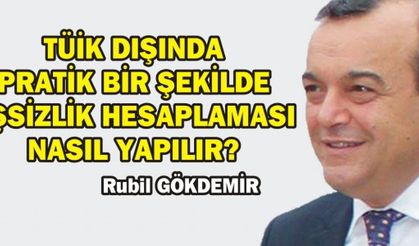 TÜİK DIŞINDA PRATİK BİR ŞEKİLDE İŞSİZLİK HESAPLAMASI NASIL YAPILIR?