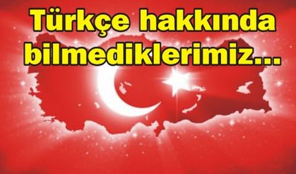 Türkçe hakkında bilmediklerimiz...