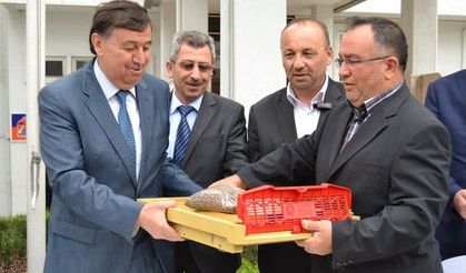 Üreticilere polen tutucu tuzak dağıtıldı