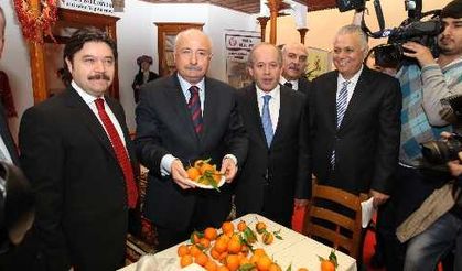 Vali Şahin: Muğla dünyanın en ilgi çekici şehirlerinden biri