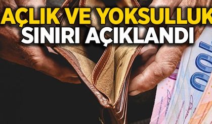Yoksulluk sınırı 3 bin 743 liraya yükseldi!