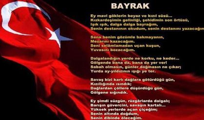 Bu şiirden kim niçin rahatsız oldu?