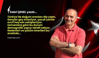 Çocuk Arabaları Çocuğa Hasret: Doğum Oranları Neden Dip Yaptı?