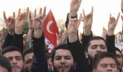 'Milliyetçilik' araştırmasında çarpıcı sonuçlar: MHP seçmeni 'Öcalan' sorusu için ne dedi?