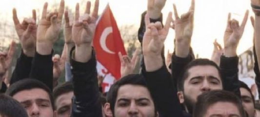 'Milliyetçilik' araştırmasında çarpıcı sonuçlar: MHP seçmeni 'Öcalan' sorusu için ne dedi?