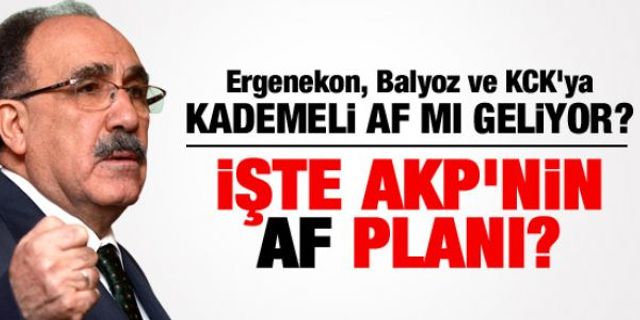 AKP'DEN "YENİ PAYDAŞLAR"A KADEMELİ AF