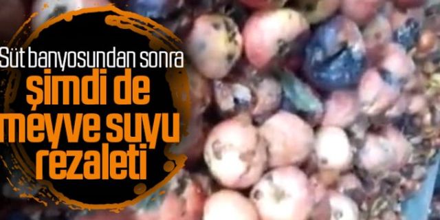 Süt banyosundan sonra şimdi de meyve suyu rezaleti