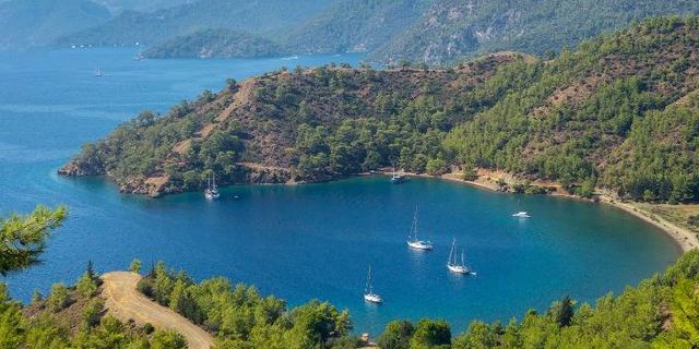Koylar satışta Muğlalı ayakta