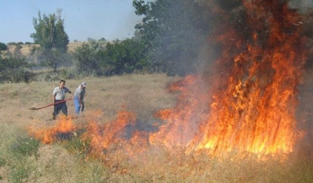 Arazi yangınlarına karşı 'piknik ateşi' uyarısı