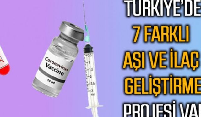 Bakan Varank'tan aşı çalışmalarıyla ilgili açıklama