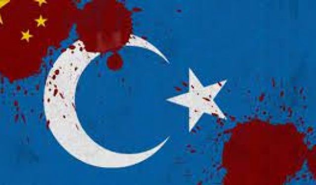 Birleşmiş Milletler İnsan Hakları Konseyi, Türk avukatların Doğu Türkistan başvurusunu resmi incelemeye alacak