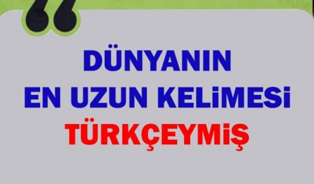 Dünyanın en uzun kelimesi Türkçeymiş