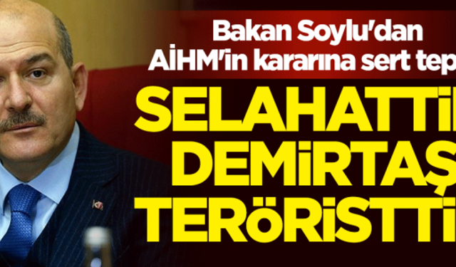 İçişleri Bakanı Soylu'dan AİHM'e sert Demirtaş tepkisi