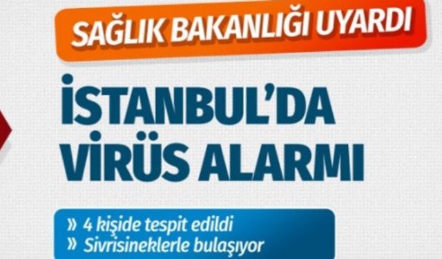 İstanbul'da Batı Nil Virüsü paniği 4 vaka tespit edildi sivrisinekle bulaşıyor