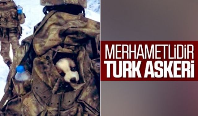 Mehmetçik, karlı arazide bulduğu yavru köpeği yanına aldı