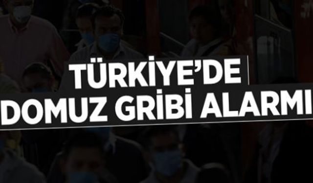 Türkiye'de Domuz gribi alarmı!