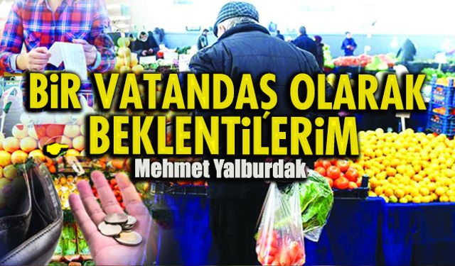 Bir vatandaş olarak beklentilerim